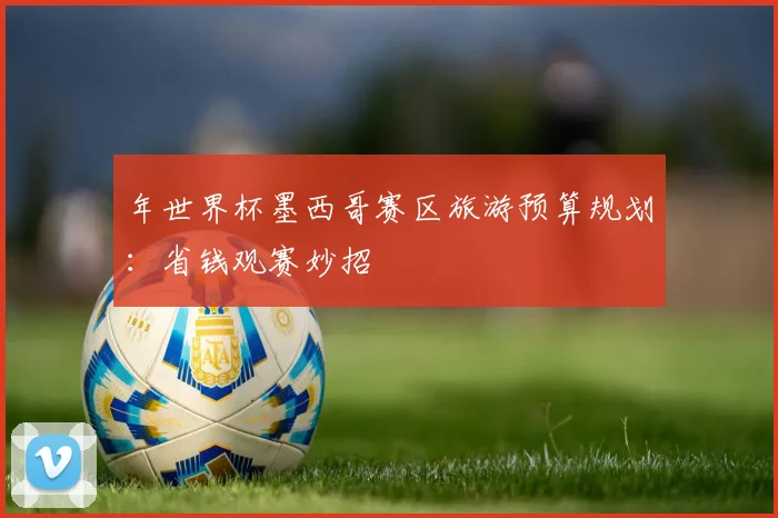年世界杯墨西哥赛区旅游预算规划:省钱观赛妙招