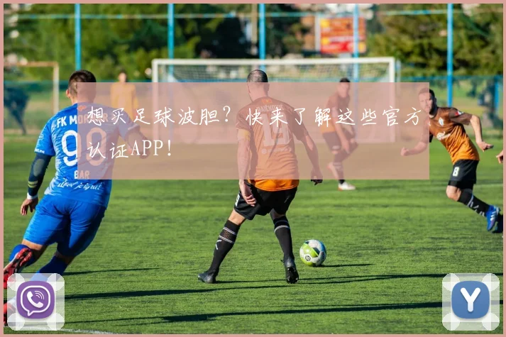 想买足球波胆?快来了解这些官方认证APP!