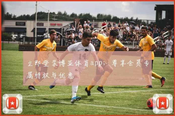 立即登录博亚体育app,尊享会员专属特权与优惠